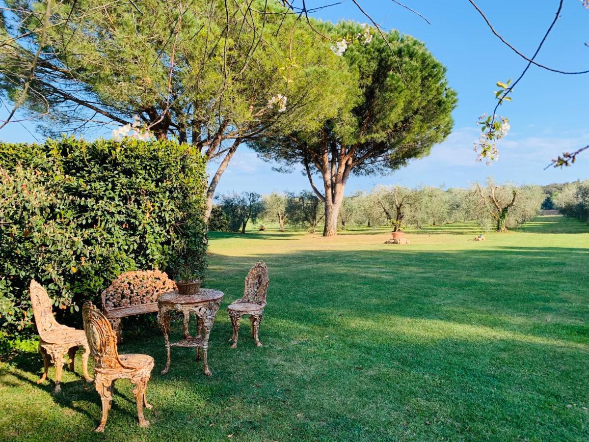 B&B Valle D'Oro Ansedónia エクステリア 写真