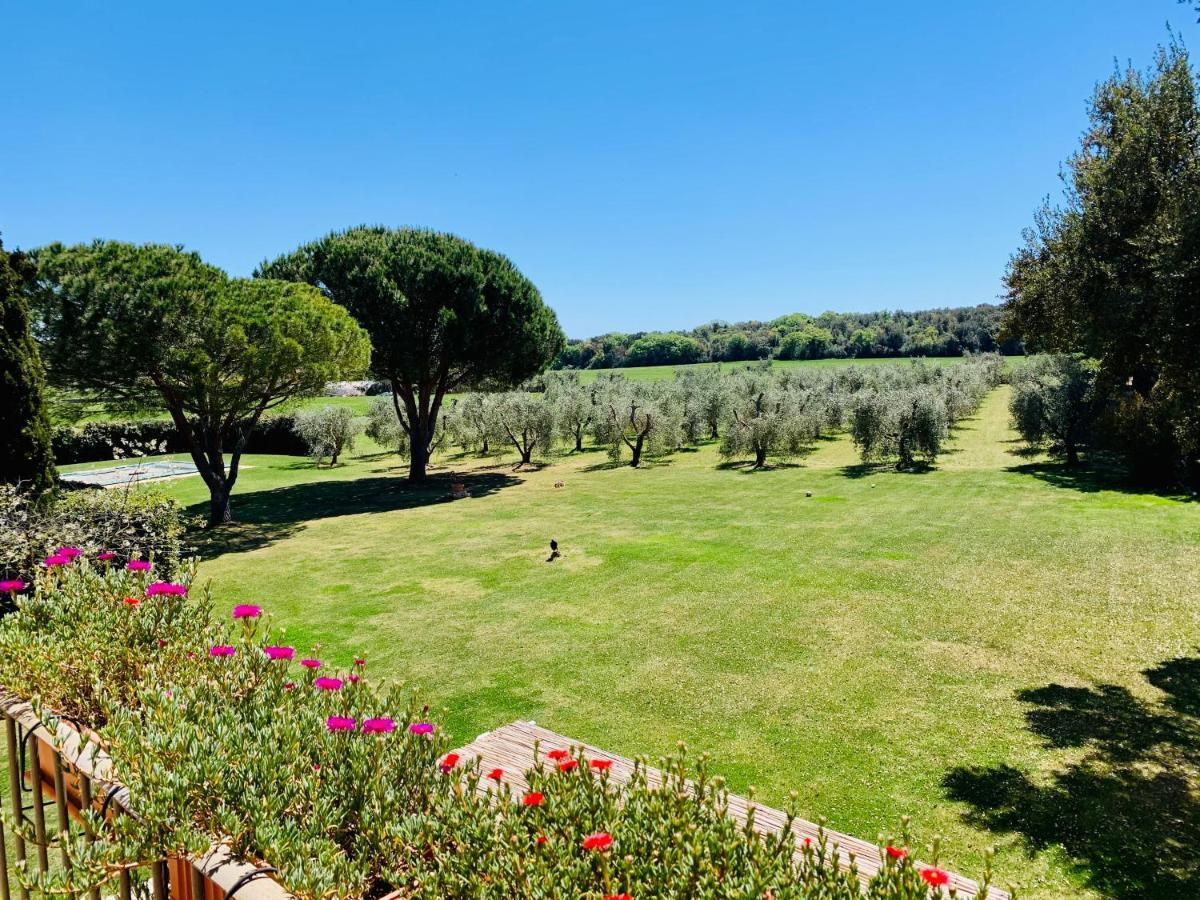 B&B Valle D'Oro Ansedónia エクステリア 写真