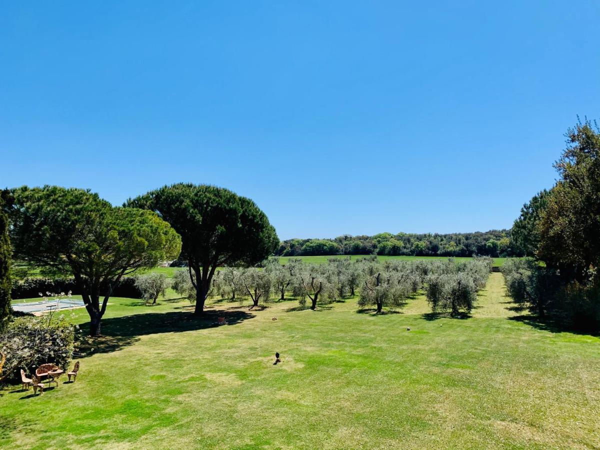 B&B Valle D'Oro Ansedónia エクステリア 写真