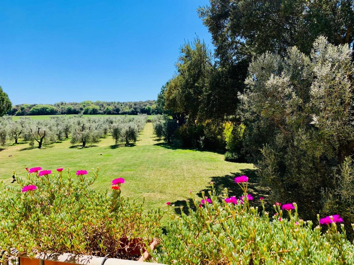 B&B Valle D'Oro Ansedónia エクステリア 写真