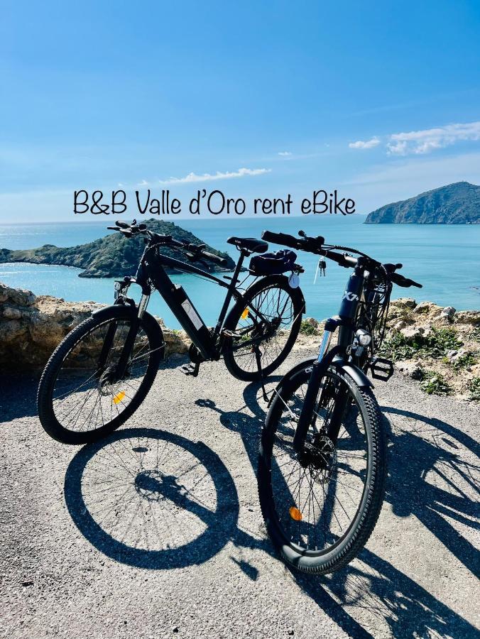 B&B Valle D'Oro Ansedónia エクステリア 写真