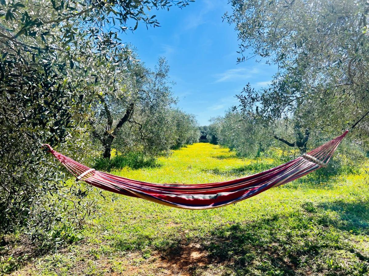 B&B Valle D'Oro Ansedónia エクステリア 写真