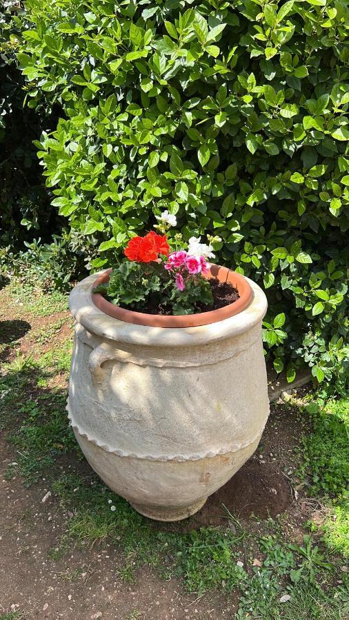 B&B Valle D'Oro Ansedónia エクステリア 写真