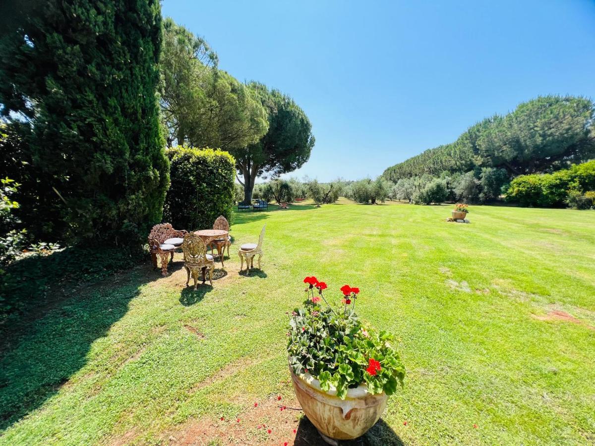B&B Valle D'Oro Ansedónia エクステリア 写真